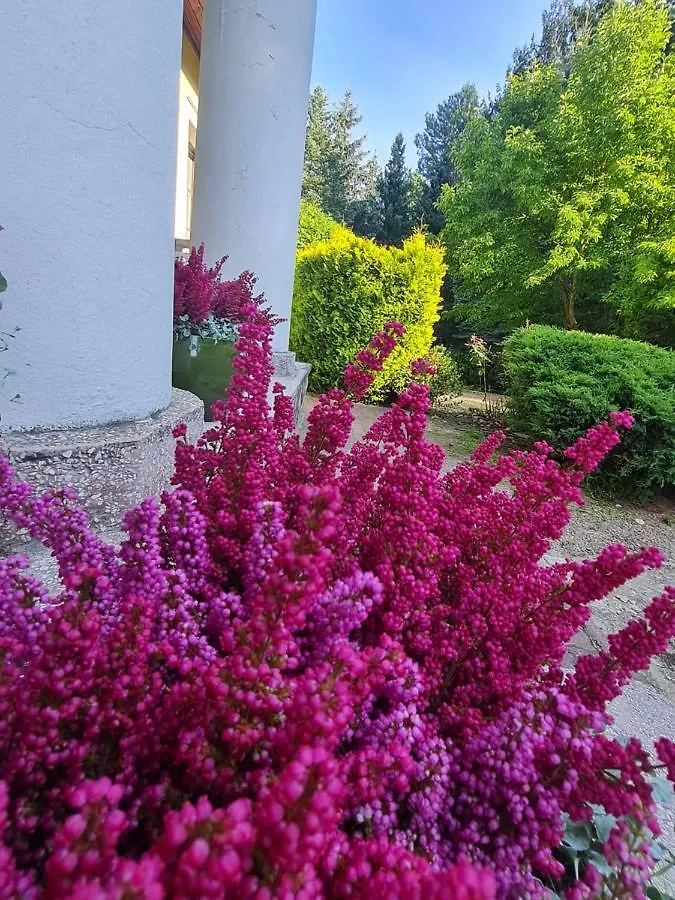 Wrzosowe Siedlisko Villa Czosnow Farm stay